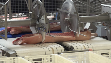 Secondary Meat Processing