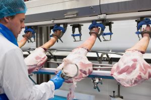 Pre-dryers, flaming furnaces, and washing machines minimize bacterial growth for a hygienic processing environment