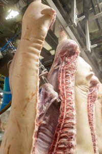 DFS offers innovative, modular meat processing solutions tailored specifically for red meat processing