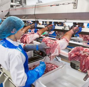 Boost efficiency and ergonomics with Marel’s M-Line robots – Marel Meat equipment which handles up to 650 pigs/hour