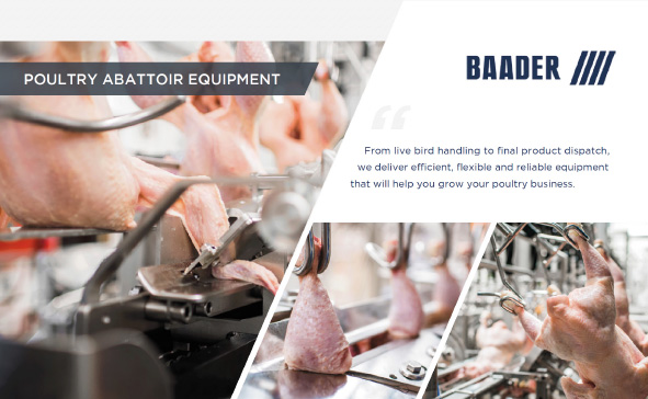 Baader