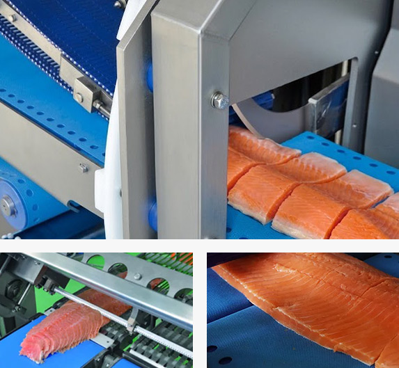 Intelligent Portioning of Fish Intelligent Portioning of Fish